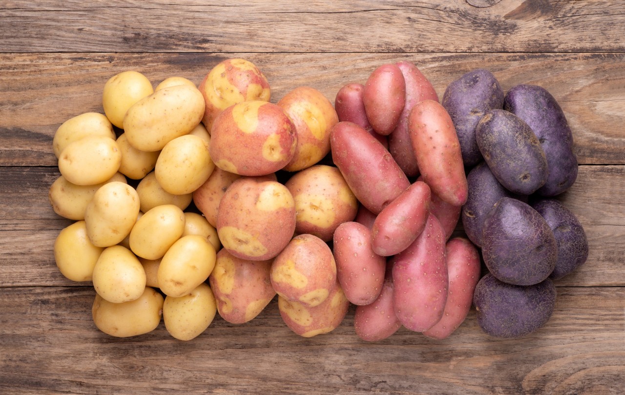 Image de plusieurs sorte de pommes de terre